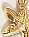 DBC2 · detalle