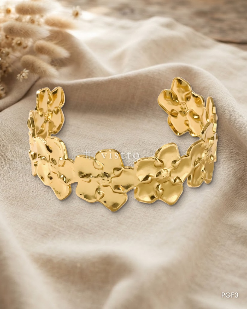PGF3 · completa
