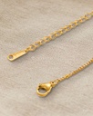 PAA1 · detalle