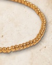 PDE1 · detalle