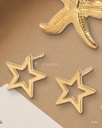SAA2 · detalle