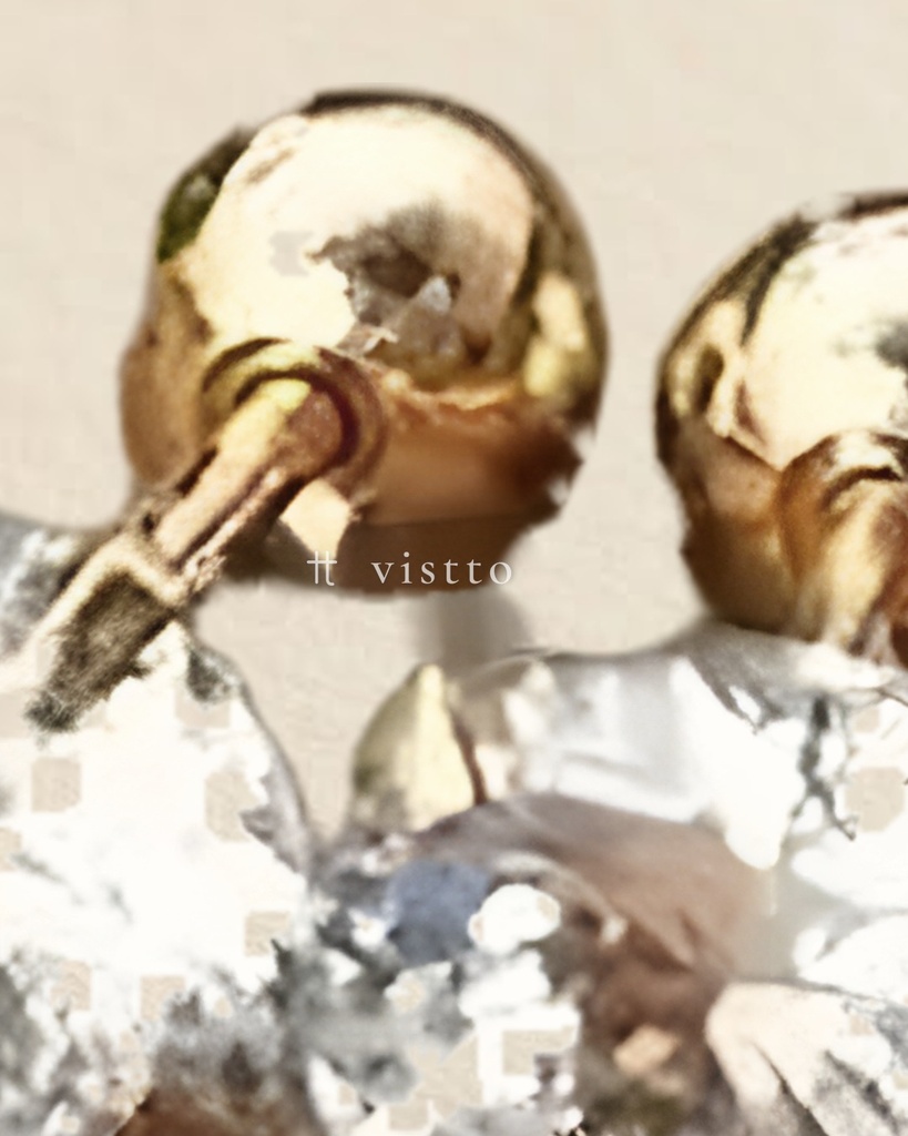ZAA5 · detalle