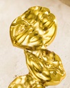 ZDD6 · detalle