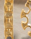 ZFH6 · detalle