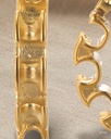 ZFH6 · detalle