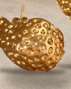 ZFI1 · detalle