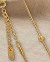 CDC13 · detalle
